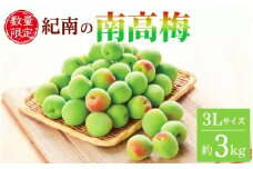 【2025年分予約】紀南の南高梅（3Lサイズ）約3kg※2025年5月下旬～6月中旬頃順次発送予定 / 田辺市 果物 果実 くだもの かじつ 梅 青梅 生梅 梅干し うめぼし 梅酒 梅ジュース 梅シロップ 手作り 自家製 新鮮 【okw004】