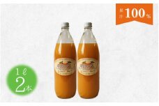 温州みかん果汁100%ジュース2本 / 和歌山 田辺市 みかん ミカン ドリンク みかんジュース 温州  【okk002】