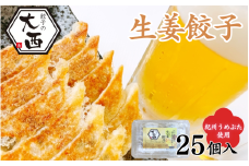 しょうが餃子　25個入り / 和歌山県 田辺市 ぎょうざ ギョウザ ギョーザ 生姜餃子 手作り 紀州うめぶた にんにく不使用 無添加 冷凍 食品 国産【gyz018】