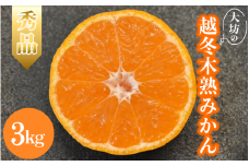 【2026年分先行予約】大坊の越冬木熟みかん 3kg ※2026年1月上旬～2月上旬頃に順次発送予定【期間限定・数量限定】 / みかん 蜜柑 3キロ お取り寄せ 産地直送 贈答品 ギフト 果物 くだもの フルーツ 田辺市 和歌山県【ymh021】