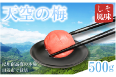 天空の梅 500g / しそ 梅干し うめぼし 梅干 田辺市 紀州南高梅 南高梅 梅干し うめ 肉厚 お米 おにぎり 焼酎 梅酒 健康 ご飯のお供【hii001】
