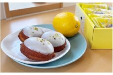 HOCCOのレモンケーキ 6個入り / 田辺 龍神 お菓子 おかし 洋菓子 おやつ スイーツ デザート ケーキ 詰め合わせ セット ギフト 贈答 プレゼント お祝い お土産 【hoc003】