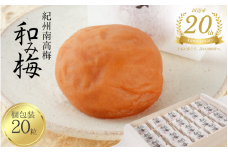 【田辺市20周年記念】 梅干し 紀州南高梅 和み梅 個包装20粒 / 紀州南高梅 南高梅 梅干し 梅干 梅 はちみつ  贈答用 田辺市 和歌山県 【umy026】