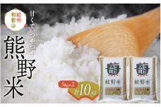 紀州のお米 熊野米 計10kg（5kg×2） /  田辺市 熊野 熊野米 ブランド米 米 ひかり新世紀 お米 コシヒカリ型品種 和歌山 紀州 ご飯 おこめ【tgm004-1】