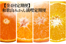 【全4回定期便】和歌山みかん満喫定期便 （早生みかん・ぽんかん・季節のお任せ柑橘・せとか各3kgずつ） ※2025年12月より4回お届け / みかん 定期便 柑橘 せとか フルーツ 早生みかん ミカン 和歌山 果物 田辺市 くだもの【tcs022-tk】