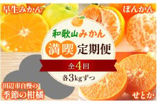【全4回定期便】和歌山みかん満喫定期便 （早生みかん・ぽんかん・季節のお任せ柑橘・せとか各3kgずつ） ※2025年12月より4回お届け / みかん 定期便 柑橘 せとか フルーツ 早生みかん ミカン 和歌山 果物 田辺市 くだもの【tcs022-tk】