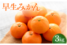  ＼先行予約／ 早生みかん 【選べる容量】 3kg（2025年12月以降順次発送予定） / みかん 早生みかん 早生 ミカン 柑橘 フルーツ 果物 紀州産 和歌山県【tcs023】