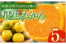  ＼先行予約／ 早生みかん 【選べる容量】 5kg （2025年12月以降順次発送予定） / みかん 早生みかん 早生 ミカン 柑橘 フルーツ 果物 紀州産 和歌山県【tcs024】
