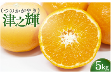 ＼先行予約／ 津の輝（つのかがやき）5kg（2026年2月以降順次発送予定） / みかん 津の輝 柑橘 かんきつ フルーツ 果物 紀州産 和歌山県 田辺市【tcs026】