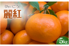  ＼先行予約／ れいこう 麗紅 5kg （2026年2月以降順次発送予定） / みかん 柑橘 珍しい ミカン 柑橘 フルーツ 果物 紀州産 和歌山県 田辺市【tcs028】