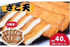 ＼大容量／  マルサのざこ天 40枚（4枚×10） / じゃこ天 おかず  おつまみ 酒のあて すり身 お弁当 小分け 惣菜 お取り寄せ 和歌山県 田辺市【rus006】