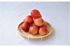 ＜先行予約＞すもも（大石）約500g×8パック ※2026年5月中旬～6月中旬頃に順次発送予定【期間限定・数量限定】 / スモモ プラム 冷蔵 季節限定 お取り寄せ 産地直送 贈答品 ギフト 果物 フルーツ 田辺市 和歌山県【ymh023】