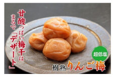 りんご梅１ｋｇ【紀の里食品】 / 梅 梅干し 梅干 リンゴ りんご酢【kns006】