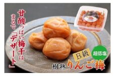 徳用　りんご梅１．5ｋｇ【紀の里食品】【kns013A】