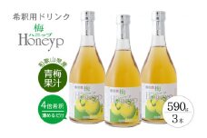 希釈用梅ドリンク 梅ハニップ 3本 / 飲料 ジュース 梅 ドリンク【prm005A】