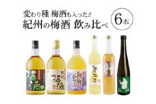 紀州の梅酒 飲み比べ６本セット  / お酒 酒 梅酒 地酒【prm003A】