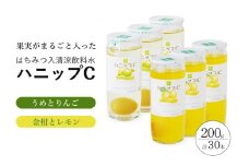 果実入り清涼飲料水 ハニップＣ 2種類セット（30本） / ドリンク 飲料 ジュース 梅 うめ りんご【prm001A】