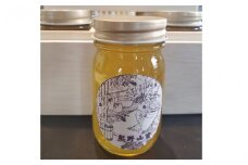 日本蜜蜂 生ハチミツ 熊野山蜜 100g×3本 ハチミツ はちみつ 国産【kym001】