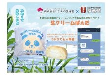 生クリームぱんだ （青うめ） 10個 もっちりふわふわのパンで包んだ絶品パン【inm910】
