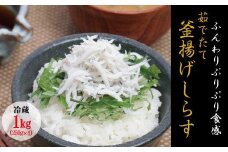 茹でたて釜揚げしらす　1kg(250g×4パック)【冷蔵】無添加・無着色 しらす シラス 釜揚げ 小分け 冷蔵【mar101】