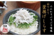 茹でたて釜揚げしらす　1kg(250g×4パック)【冷凍】無添加・無着色 しらす シラス 釜揚げ 小分け 冷凍【mar103】