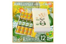 じゃばらドリンク12本セット【njb121】