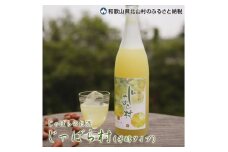 じゃばらのお酒 じゃばら村 720ml×2本（芳醇タイプ） 【njb441】