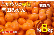 【2025年12月発送予約分】＼光センサー選別／農家直送 こだわりの完熟有田みかん 約8kg＋250g(傷み補償分) 【ご家庭用】【12月発送】【nuk100-12】