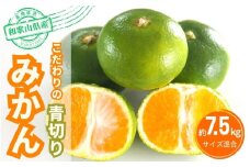 【2025年秋頃発送予約分】こだわりの青切りみかん　約7.5kg  有機質肥料100%　 サイズ混合　※2025年9月下旬より順次発送予定（お届け日指定不可）【nuk107D】