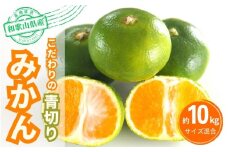 【2025年秋頃発送予約分】＼光センサー選別／ 【農家直送】こだわりの青切りみかん 約10kg  有機質肥料100%　 サイズ混合　※2025年9月下旬より順次発送予定（お届け日指定不可）【nuk108D】