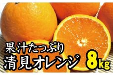 ＼光センサー選別／ 【農家直送】果汁たっぷり！清見オレンジ 約8kg  有機質肥料100%　 サイズ混合　※2024年3月上旬より順次発送予定（お届け日指定不可）【nuk112A】
