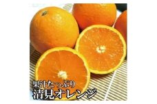 ＼光センサー選別／ 【農家直送】果汁たっぷり！清見オレンジ 約8kg  有機質肥料100%　 サイズ混合　※2026年3月上旬より順次発送予定（お届け日指定不可）【nuk112B】