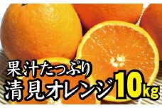 ＼光センサー選別／ 【農家直送】果汁たっぷり！清見オレンジ 約10kg  有機質肥料100%　 サイズ混合　※2024年3月上旬より順次発送予定（お届け日指定不可）【nuk113A】