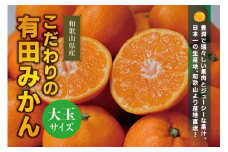 【農家直送】こだわりの有田みかん 約10kg 大玉3L以上 有機質肥料100% サイズ混合　※2022年12月初旬～1月中旬に順次発送(お届け日指定不可)【nuk140】