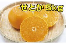 せとか　約5kg　【ご家庭用】 ※2024年2月下旬より順次発送予定（お届け日指定不可）【nuk127】