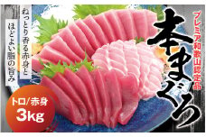 本マグロ（養殖）トロ＆赤身セット 3kg 【1か月以内に発送】【配達指定日不可】高級 クロマグロ  中トロ 中とろ まぐろ マグロ 鮪 刺身 赤身 柵 じゃばらまぐろ 本マグロ 本鮪【nks112B】