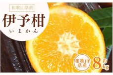 伊予柑(いよかん) 約8kg / サイズおまかせ　※2025年1月中旬～2025年2月中旬頃に順次発送予定(お届け日指定不可)　紀伊国屋文左衛門本舗　【sgtb440A】