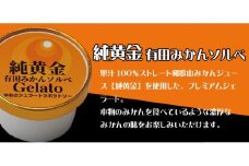 プレミアムジェラート 純黄金12個セット 有田みかんソルベ アイスクリームセット 100mlカップ ゆあさジェラートラボラトリー【sgtb700-08】