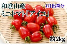 【4月出荷分】和歌山産ミニトマト「アイコトマト」約2kg（S・Mサイズおまかせ）【tec100A-4】