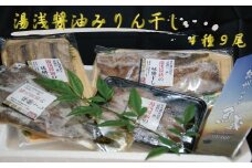 和歌山の近海でとれた新鮮魚の湯浅醤油みりん干し4品種9尾入りの詰め合わせ
【tec200A】
