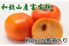 ［厳選・産直］和歌山産の富有柿約2kg（化粧箱入り）（2L～4Lサイズ）【tec406A】