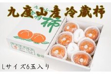  【まごころ栽培】九度山の冷蔵富有柿Lサイズ6玉入り＜2026年1月下旬～2026年2月中旬頃に順次発送＞【tec411A】 