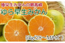 【極早生みかんの逸品】有田産ゆら早生みかん 約5kg※2025年10月中旬～2025年11月中旬頃順次発送【tec801A】