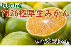 【産直】YN26極早生みかん約5kg（2S～Mサイズおまかせ）※2025年9月中旬～11月上旬頃に順次発送【tec800A】