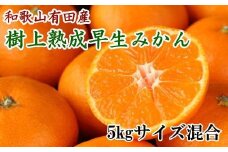 紀州有田産早生みかんの樹上熟成みかん5kg(サイズ混合) ※2021年1月中旬より順次発送【tec803】