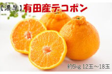 【お味濃厚】紀州有田産の大玉デコポン約5kg（12玉～18玉入り・青秀以上）※2026年1月中旬～2026年3月中旬頃順次発送【tec811B】