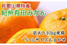 [訳あり規格]和歌山有田みかん10kg（S～Lサイズおまかせ）※2025年11月中旬～2026年1月中旬頃に順次発送予定【tec830A】