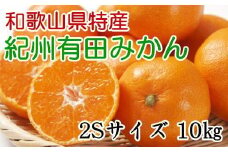 [秀品]和歌山有田みかん　約10kg(2Sサイズ) ※2025年11月中旬～2026年1月中旬頃順次発送【tec832A】