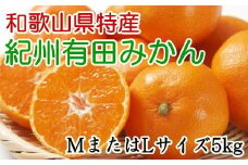 [秀品]和歌山有田みかん　5kg(MサイズまたはLサイズのいずれか) ※2025年11月中旬～2026年1月中旬頃順次発送予定【tec834A】