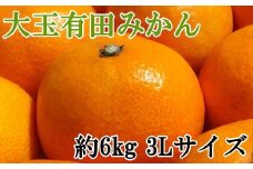 [秀品]和歌山有田みかん　6kg(3Lサイズ) ※2025年11月中旬～2026年1月中旬頃順次発送【tec836】